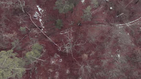 Professional cyclist takes part in cyclocross cycling race at winter season, jumps over log alt