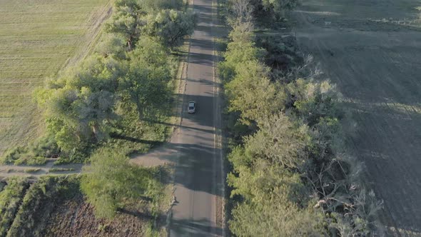 AERIAL Following Car Birds Eye View Tracking Shot Green Trees and Green Field alt