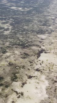 Tanzania  Vertical Video of Low Tide in the Ocean Near the Coast of Zanzibar Slow Motion alt