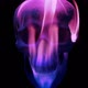 Skull In Pink And Blue Flames Fantasy Concept - VideoHive Item for Sale