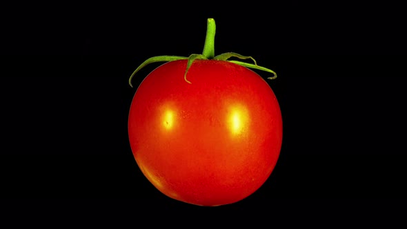 Rotating Isolated Tomato alt
