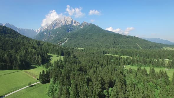 Beautiful green fields and mountain.Kranjska Gora.Slovenia