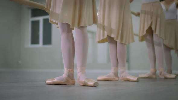 Side Angle View Row of Unrecognizable Slim Graceful Ballerinas Performing Tendu Simultaneously at alt