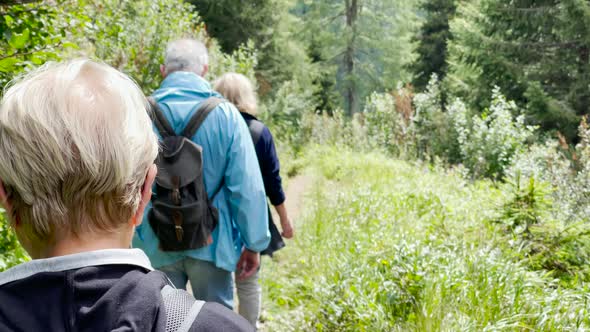Back View of Family During a Mountain Trip Along Italian Alps Summer Season alt