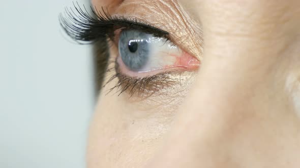 Professional Makeup Artist Sticks False Eyelashes on the Blue Eyes of an Adult Middleaged Woman alt