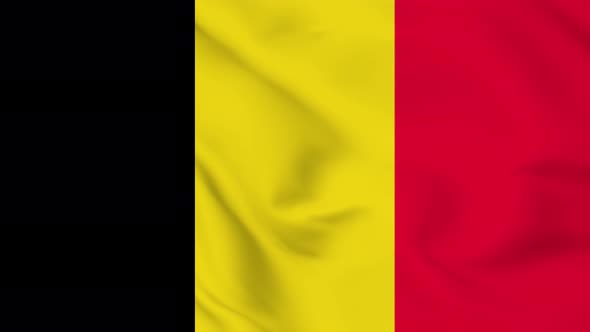Belgium flag seamless closeup waving animation. Vd 1998