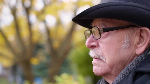 Anxious Mature Senior Man Who Feels Lonely Pensive Depressed Upset Old Widower alt