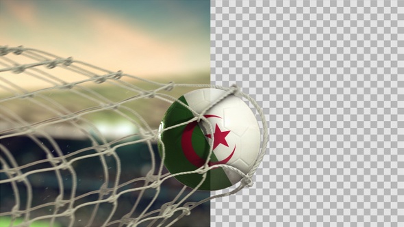 Soccer Ball Scoring Goal Day - Algeria