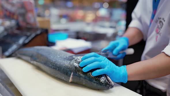 Close up to Hand of professional asian checf or fishermen preparing fresh salmon fish alt