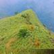 Grassy Highlands and Alpine Valley in Remote Wilderness of Sri Lanka - VideoHive Item for Sale
