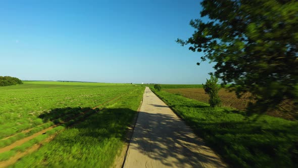 Empty Road in the Fields With a Big Tree and Beautiful Blue Sky With Rising Moon alt