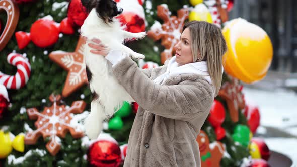 Beautiful Woman with Dog Papillon Near the Christmas Tree on the Street alt