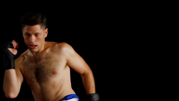 Boxer performing a boxing stance alt