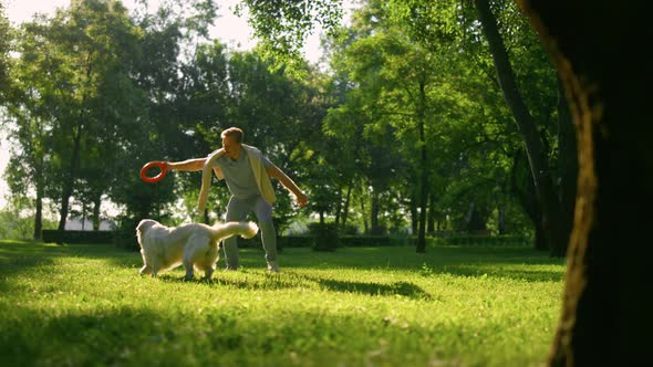 Attractive Man Teasing Golden Retriever in Park alt