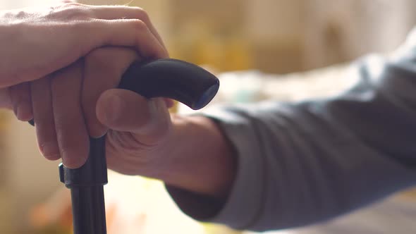 The concept of caring support for elderly sick people. The hand of a pensioner holds a cane stick, t alt