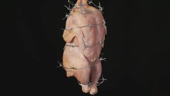 GMO Meat alt