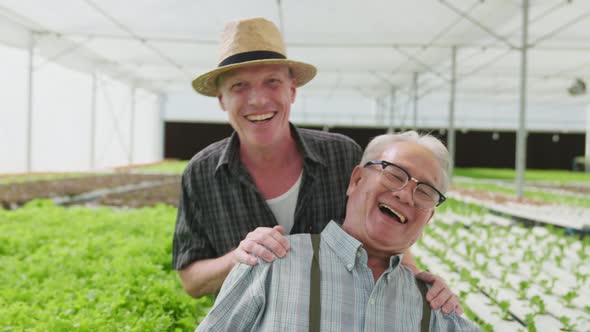 senior elder male caucasian and asian farmer standing laugh smiling together with cheerful happiness