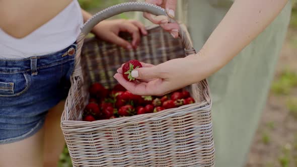 Mother and Daughter Holding Basket of Strawberries