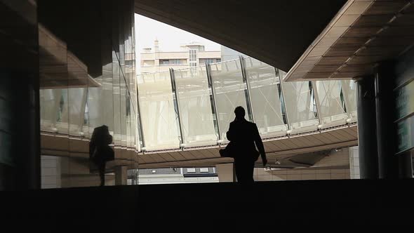 Business Man Talking Over Phone Silhouette, Busy Entrepreneur alt