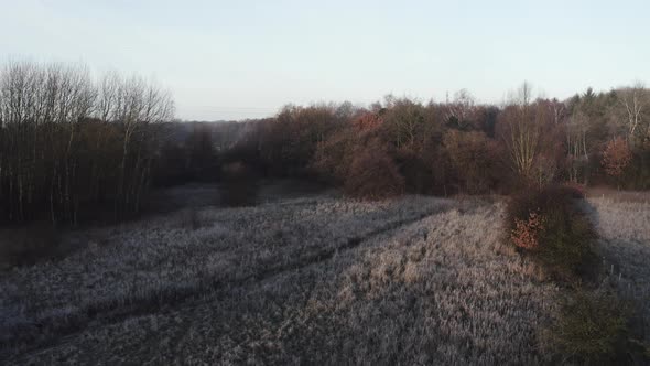 early morning winter landscape with a pathway and trees and frost-covered bushes alt