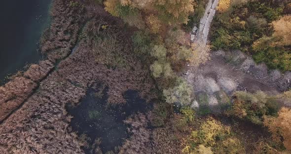 Descent Over the Lake with a Beautiful View of the Autumn Park and Circling White Doves