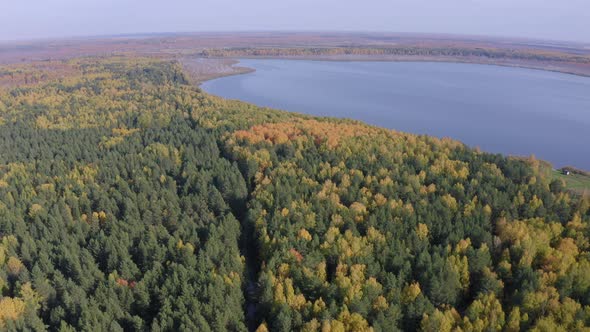 Aerial Footage of a Surface of the Lake Surrounded By Colorful Forest in Autumn