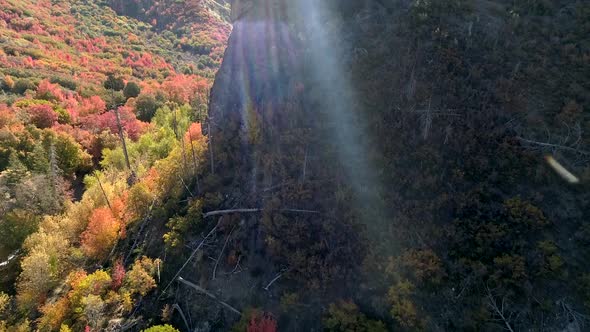 Flying over jagged cliff revealing canyon in Fall color alt