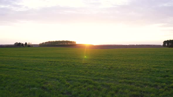 Flying Over Green Agricultural Field Countryside At Sunset Rays alt