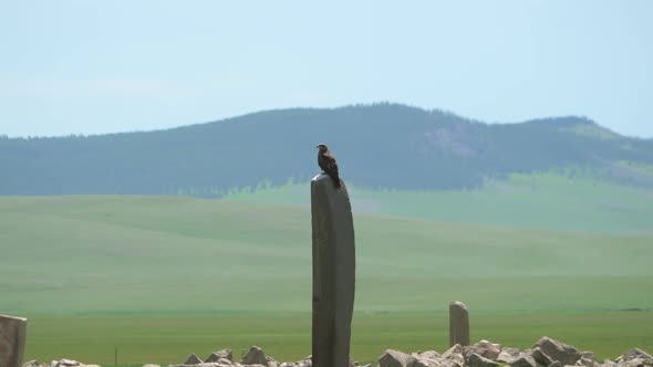 Inscription of Obelisk Menhir From Old Ancient Times alt