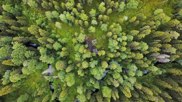 Flight Over the Forest, Log Hut, Aerial Top Down View on Forest in the Summer, Drone Shot Flying