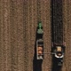 Aerial view of Combine Harvester Harvesting Ripe Corn on Harvest Field - VideoHive Item for Sale