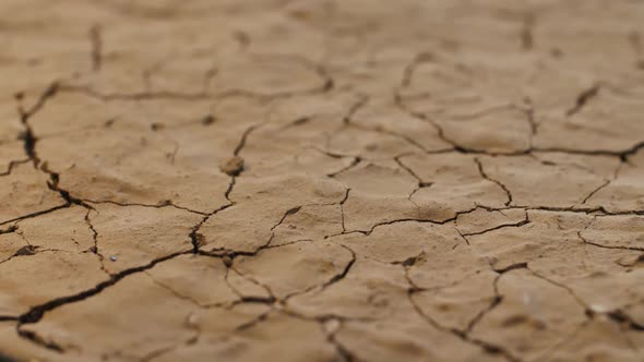 Drought. Cracked Earth Under Scorching Rays of the Sun, Dried Soil alt