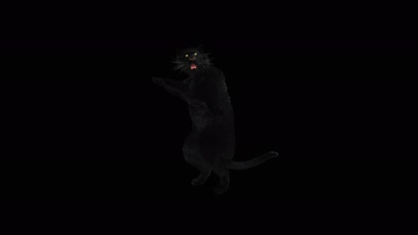 80 Panther Standing Magic Attack 4K alt
