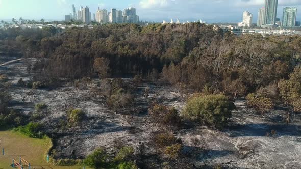 Aerial view of a recent fire close to a major city alt