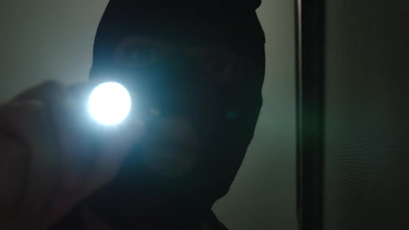 Thief climbs into the house, shines a flashlight on the picture and into a surveillance camera