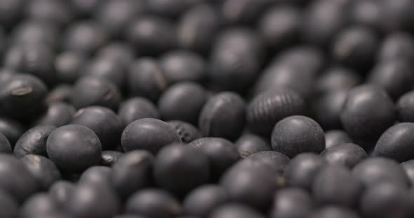Black soy bean alt