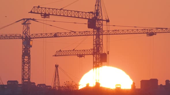 Dark Silhouette of Tower Cranes with Big Setting Sun at High Residential Apartment Buildings alt