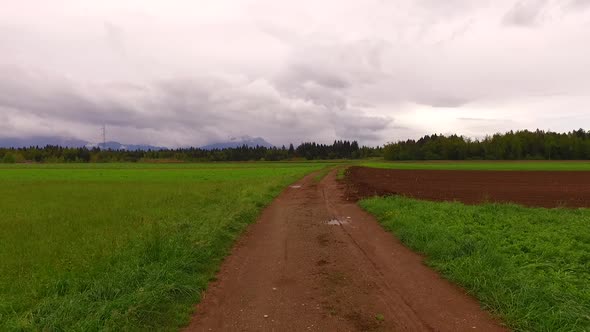 Muddy Field and Cloudy Day for Walking There