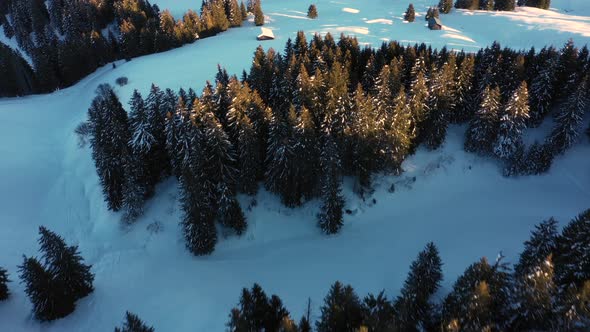 Aerial top view of snowy forest and winter in mountains and famous winter ski resort aerial view. Wi alt