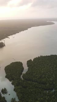 Tanzania  Coast of Zanzibar Island Covered with Thickets Slow Motion alt