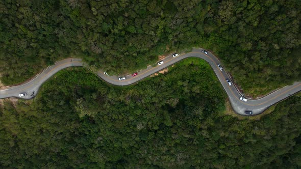Cars Moving Along Winding Road in High Mountain Pass Through Dense Green Pine Woods