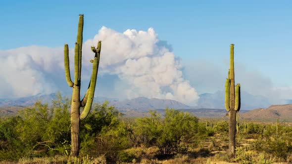 Pyrocumulus Cloud from a Wildfire in Arizona