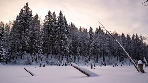 Beautiful Winter Landscape Movement of the Camera to the Left Over the Lake alt