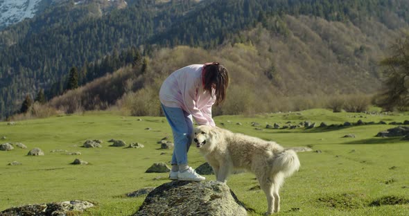 Happy Dog Enjoying When Young Woman Petting Him on the Background of Snowy Mountains