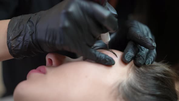 Micro Blading Tattooing of Female Eyebrow with Microblading Pen in Beauty Salon alt