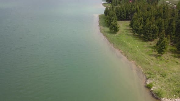 Aerial moving shot of water front from lake meeting woodland alt