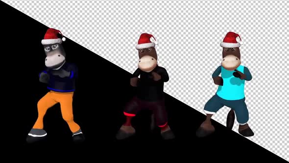 Donkeys Loop Dance alt