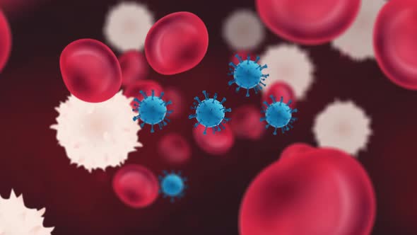 Coronavirus particles flowing in bloodstream with red and white blood cells