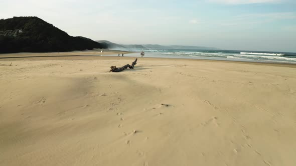Drone shot of river mouth flowing into ocean sandy beach with tree log alt