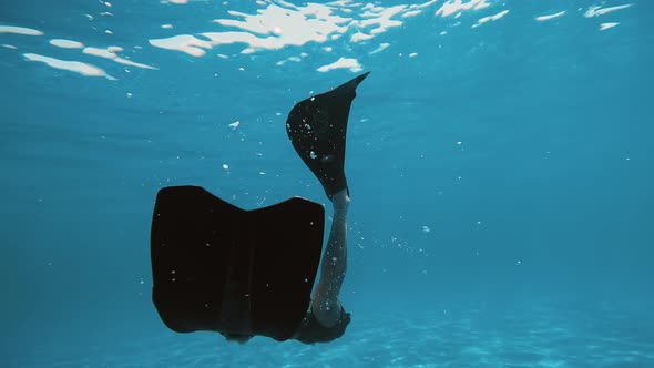 Diving Underwater With Long Fins alt